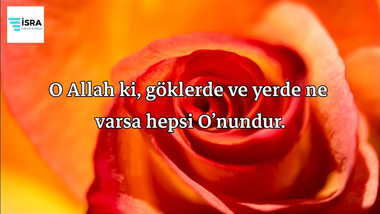 İbrahim Suresi - Ahmed Khedr