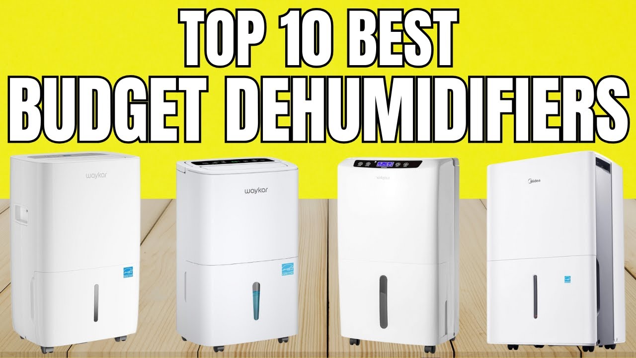 Best Dehumidifiers 2025  – Must Watch Before You Buy One!