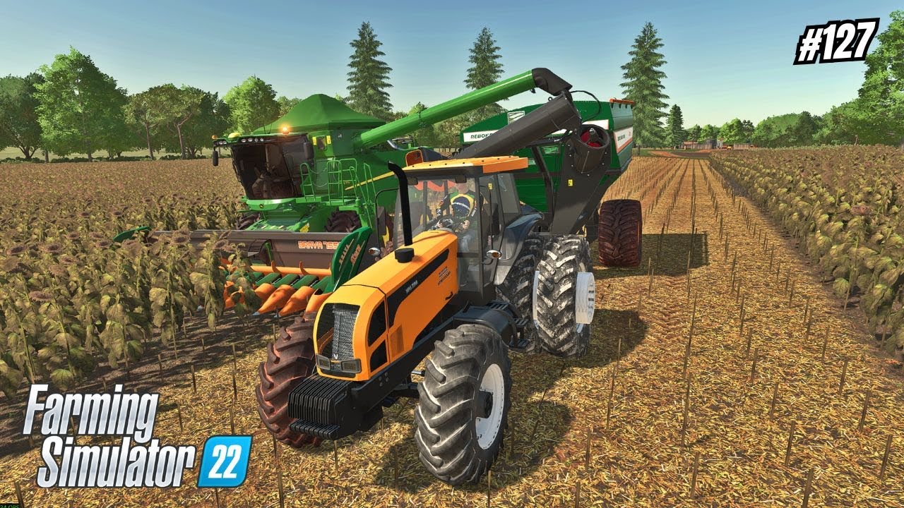 Fim de Safra de Girassol/O Pioneiro/Farming Simulator 22 #127