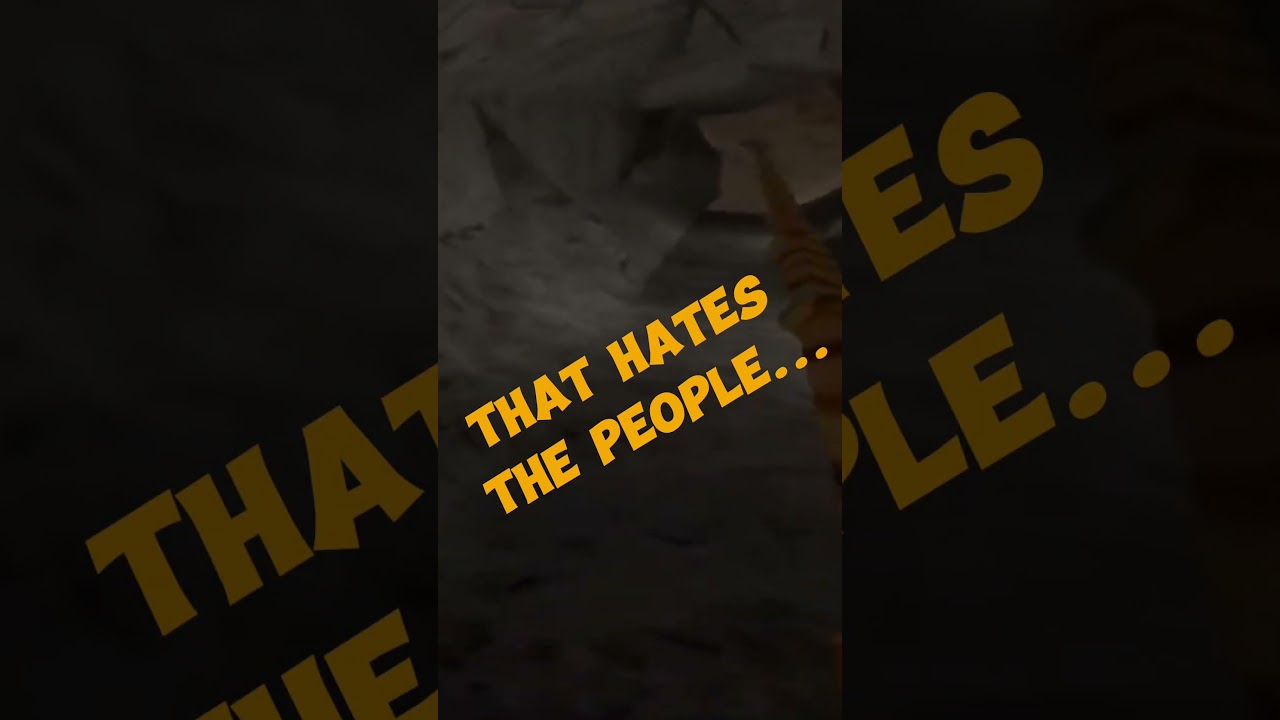 Like if you agre- 🤣🤣 