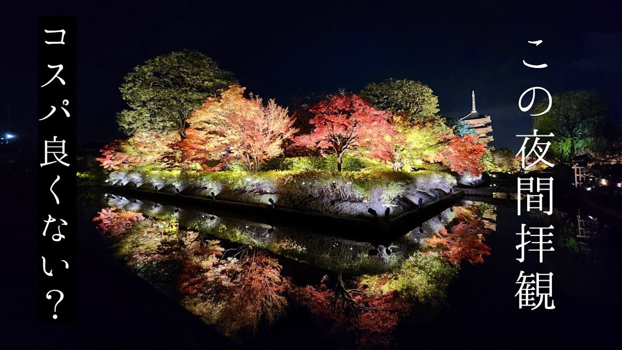 🍁京都紅葉🍁東寺のライトアップがコスパ良すぎて最高だった　Kyoto.Toji