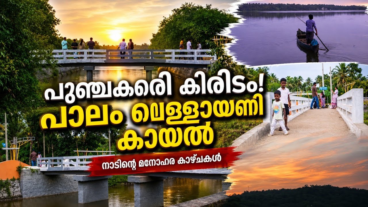 Punchakkari kireedam bridge Vellayani Lake പുഞ്ചക്കരി കിരീടം' പാലം  വെള്ളായണി കായൽ