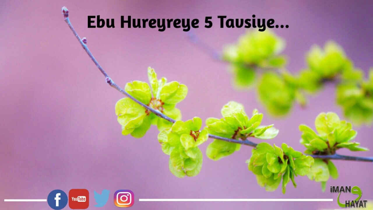 Hayatımızı Değiştirecek 5 Tavsiye