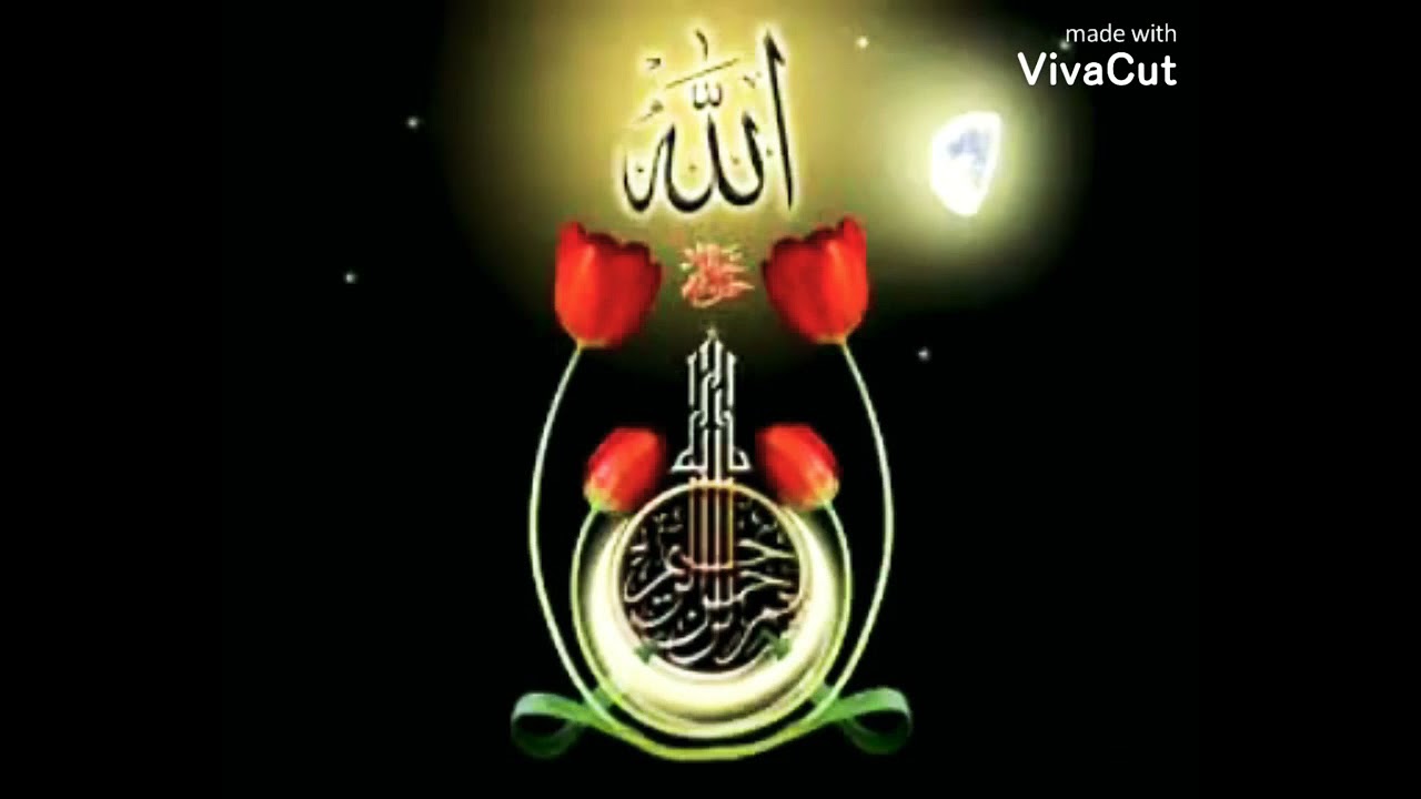 Allah ☝️👌👍#2021raninaturevieoshd#noorehdees#nooreislam