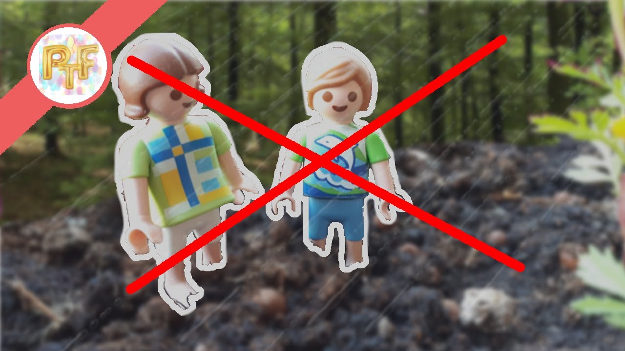 Film Playmobil - Un Dimanche à la maison