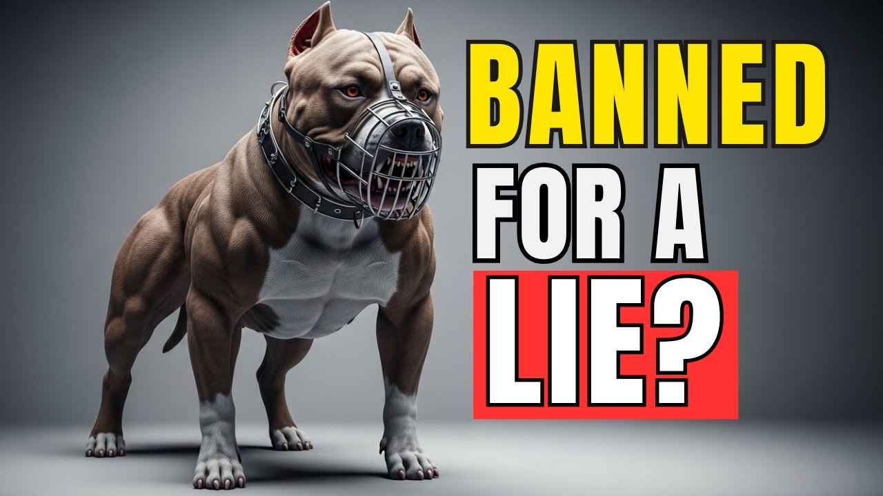 Pitbulls Do NOT Have Locking Jaws (PROVEN)