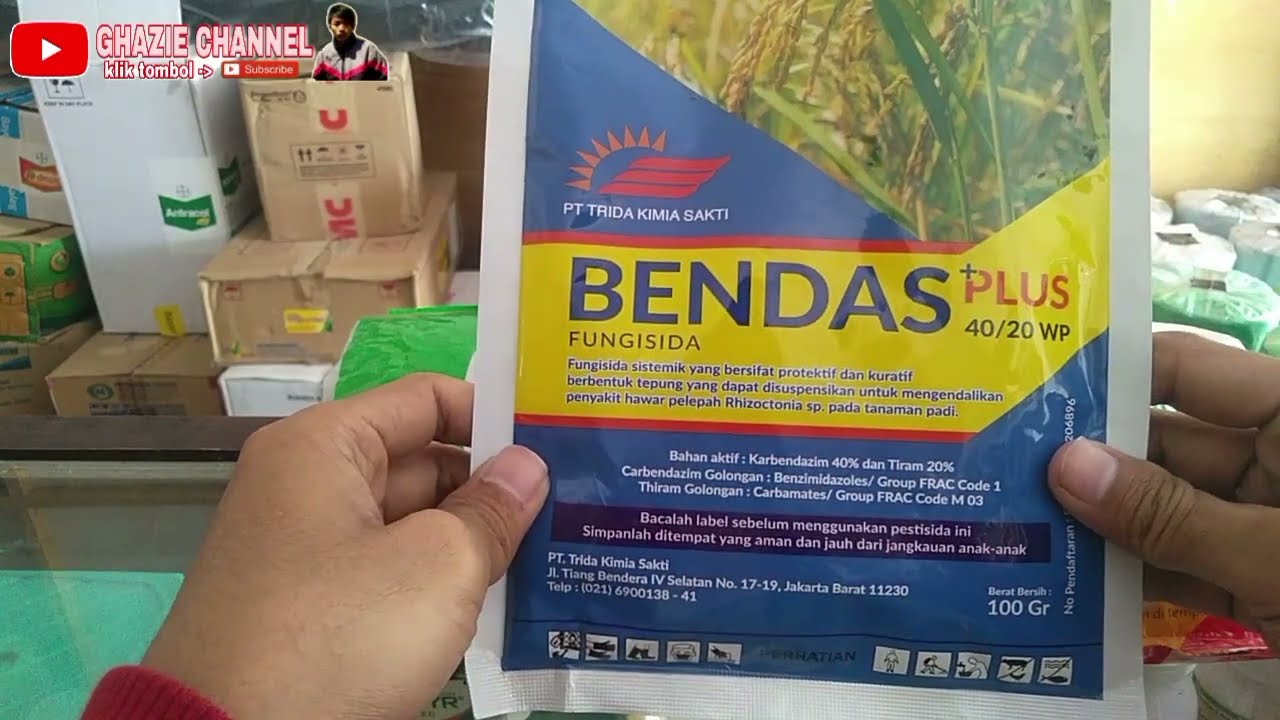Review fungisida BENDAS PLUS | fungisida ampuh terbaru