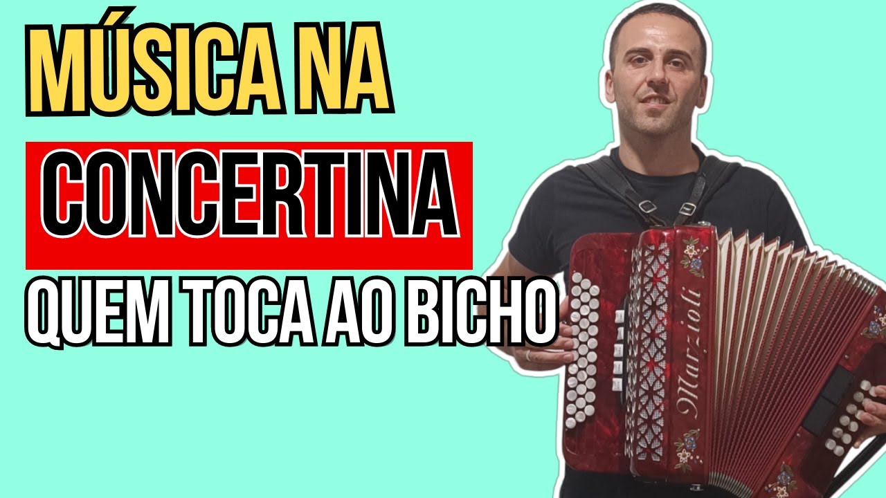 Concertina 🪗 M&uacute;sica Popular Portuguesa - Quem Toca ao Bicho [Accordion | Sanfona] #concertina