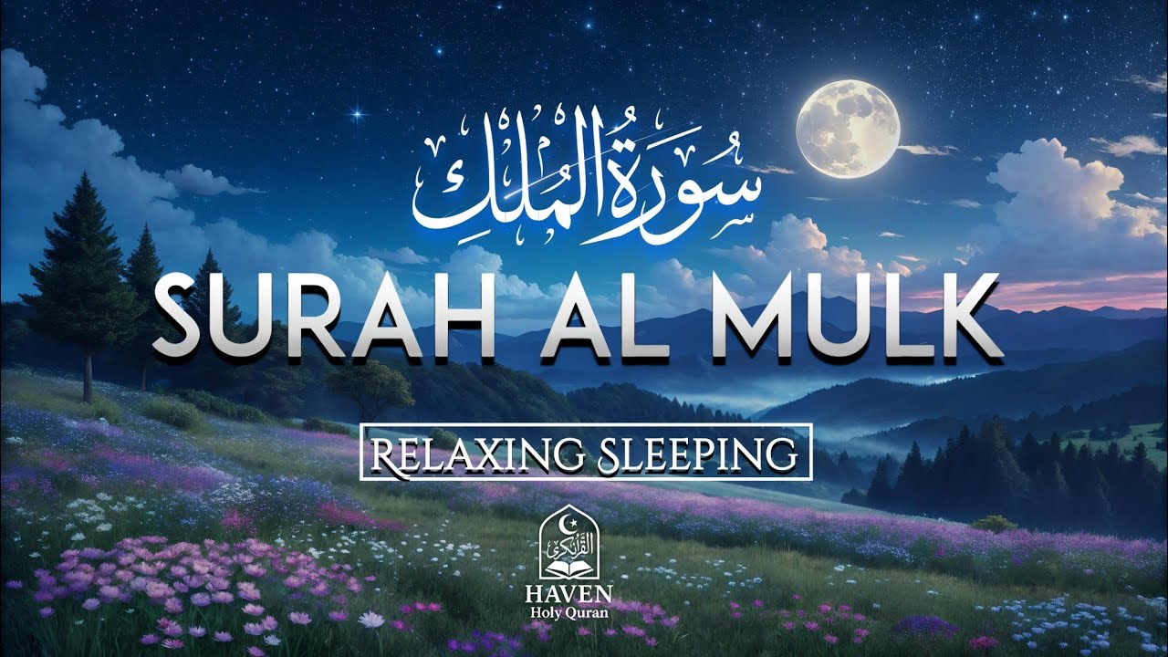 Surah Al Mulk (سورة الملك) - for Relaxing Sleeping | Peaceful Quran Reaction | Haven Holy Quran