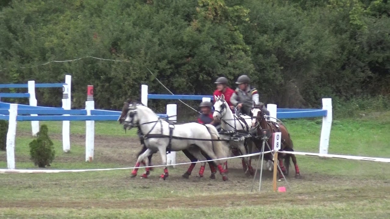 Thomas VAN DYCK (BEL) FEI CH-M-A Ponies, P4, &Aacute;sz&aacute;r-Kisb&eacute;r (HUN), marathon, obst. Nr. 8, 28.09.2019
