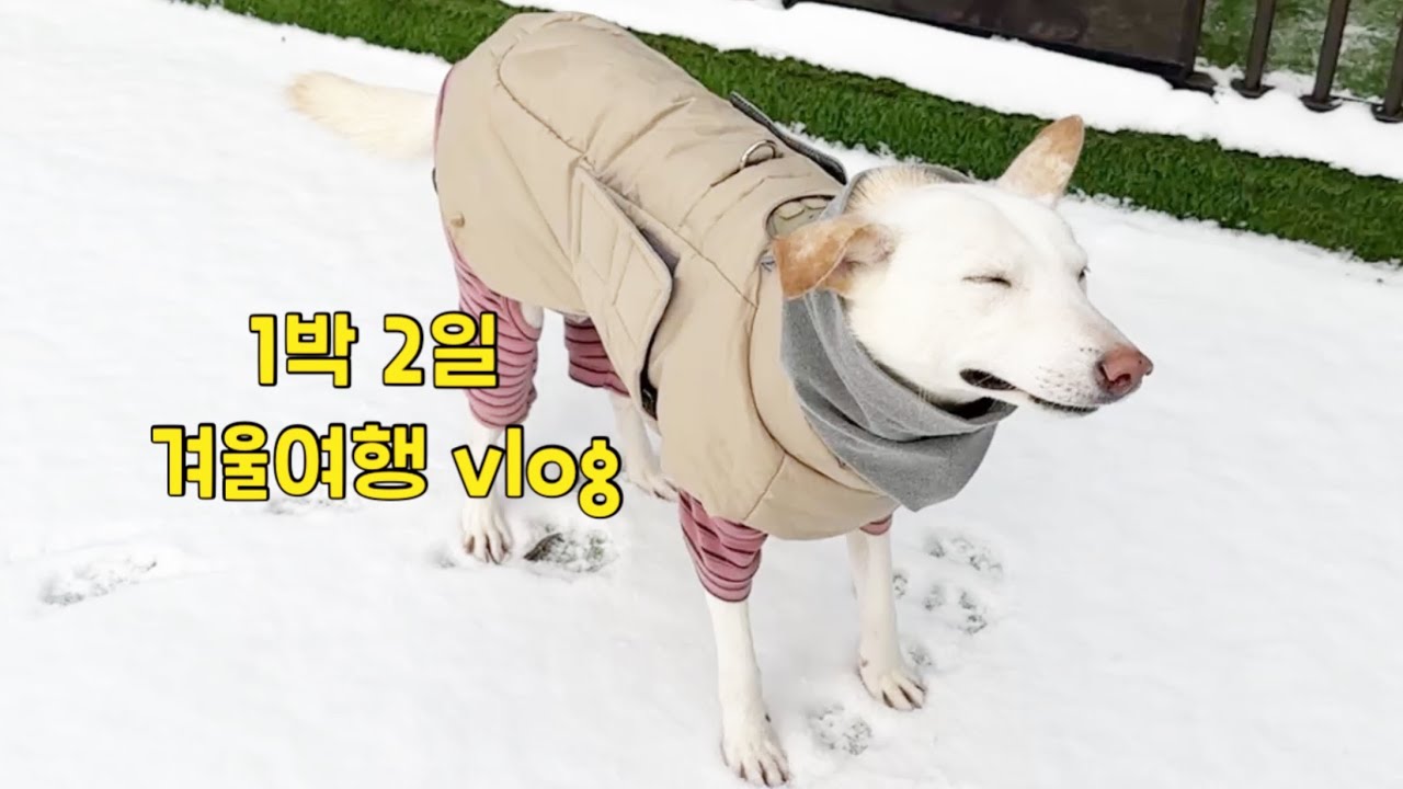 입틀막이 난무하는 겨울여행 #유자녀#무자녀#싱글 