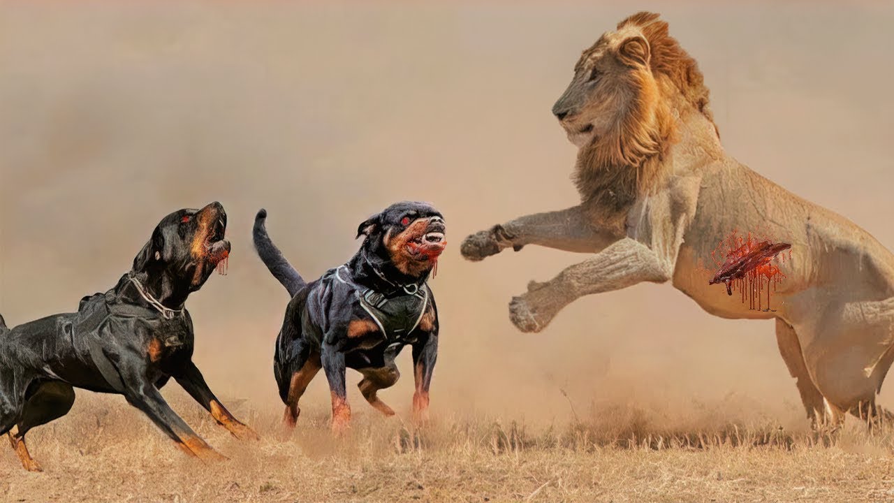 Top 10 Most Fearless Dog Breeds Bravery 2023