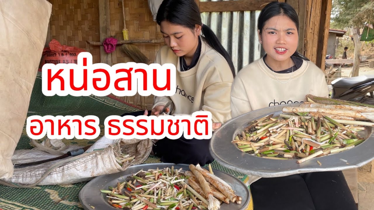อาหารธรรมชาติ ในป่าดงดิบ หน่อสานใผเคยกินแน่
