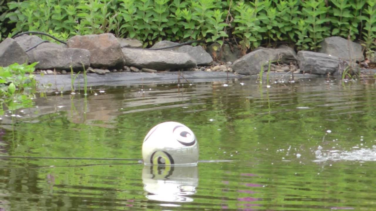 Kurpark Sonnenhof Bad Iburg Juni 2016!