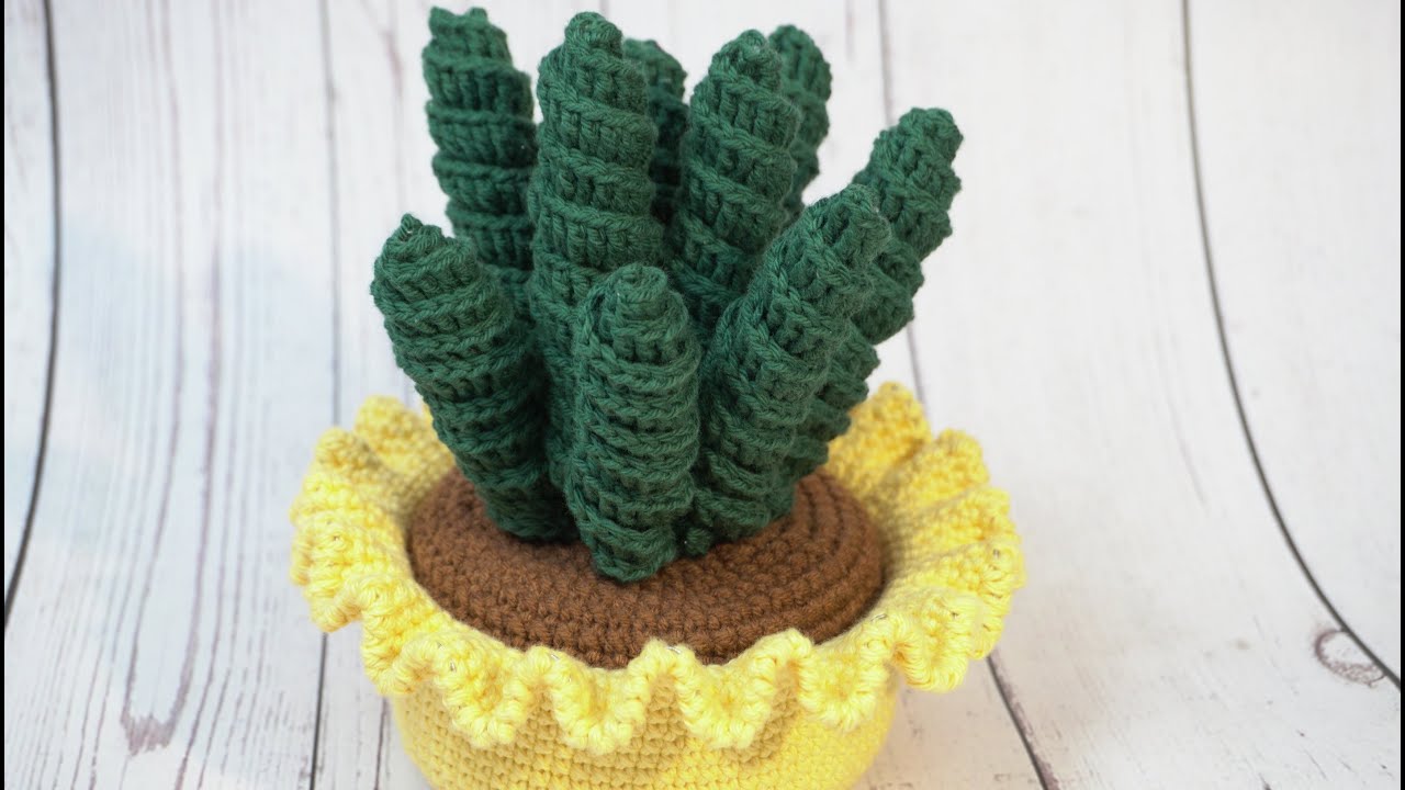 CACTUS ESPITRAL TEJIDO EN CROCHET