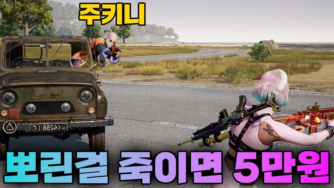 배그 솔로 뽀린걸을 노리는 주키니