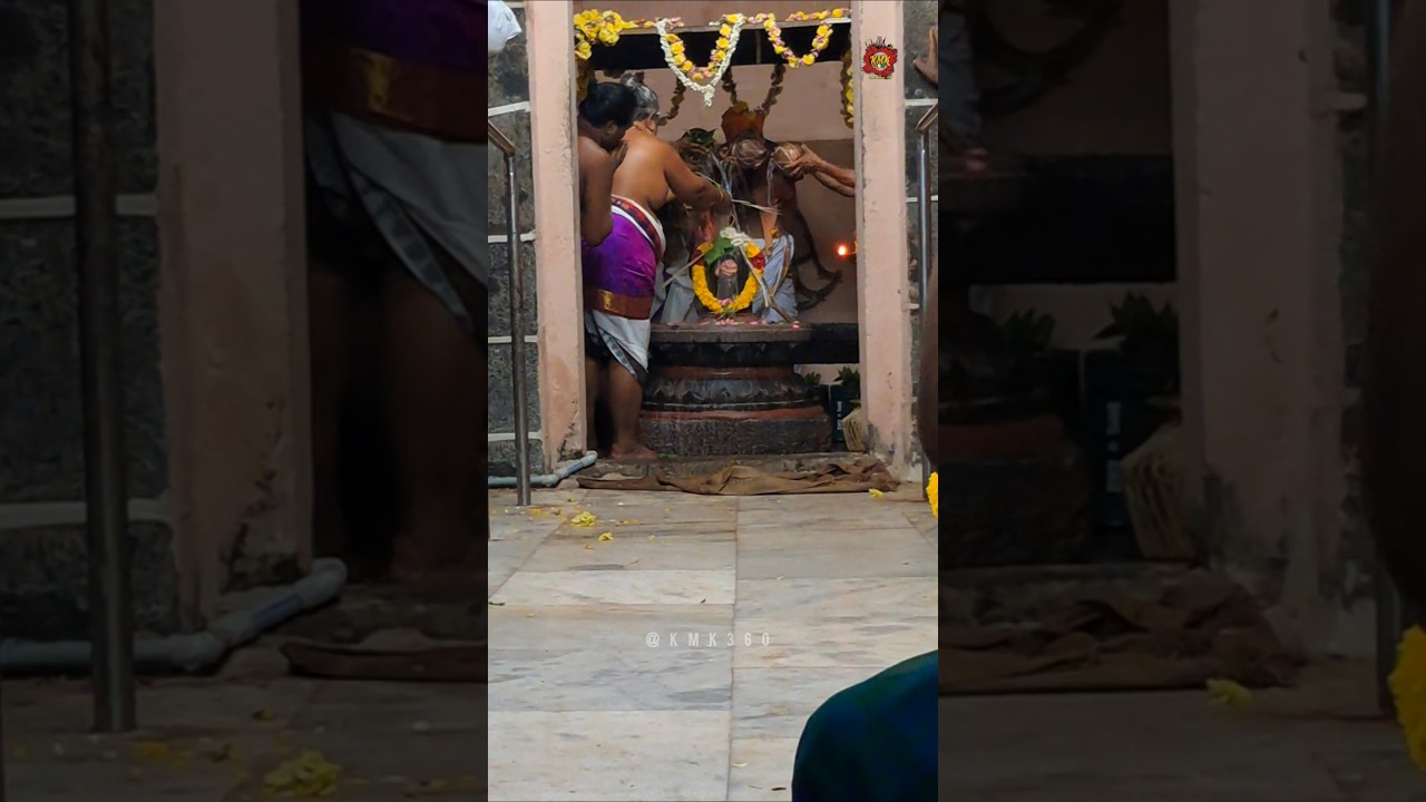 ஆயிரம் ஆண்டுகளுக்கு பிறகு 1008 கலச அபிஷேகம்❤️&zwj;🔥🙏🔥காட்டுமன்னார்கோயில் சிவன் கோயில்... #news #sivan
