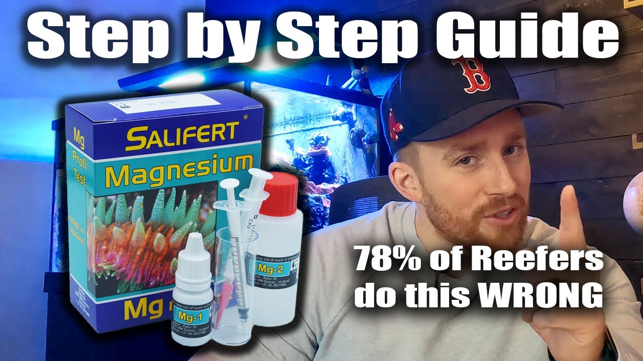 The RIGHT WAY to use Salifert Magnesium Test Kit