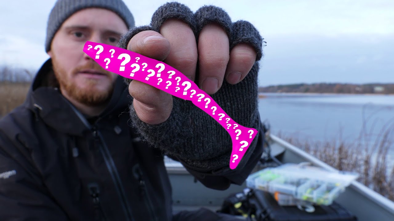 Top 5 shadjiggar f&ouml;r stor abborre