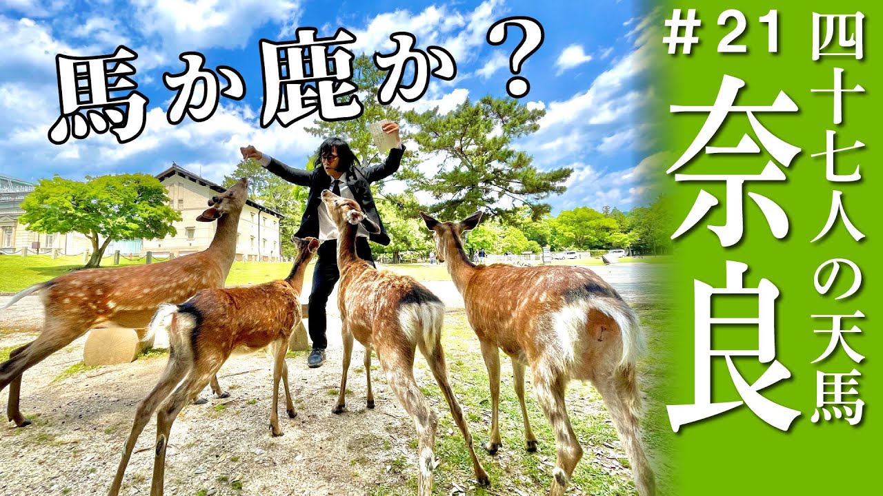 【奈良】馬か鹿か？シカに詩を朗読する松永天馬