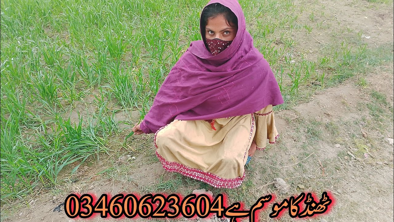 Asma village vlog Asma village vlog