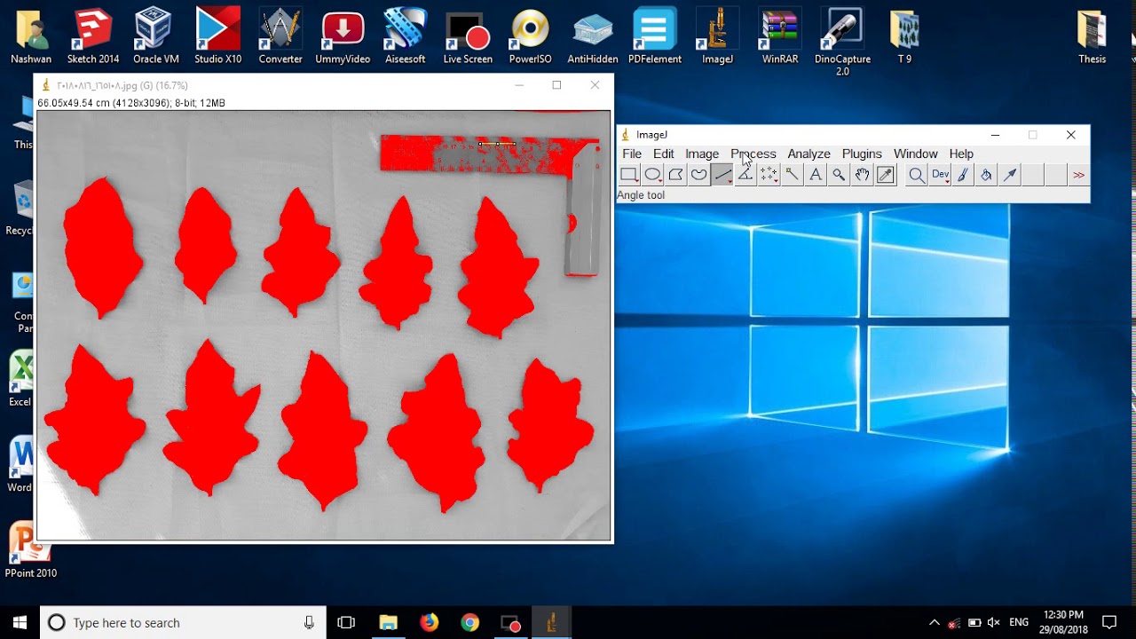 How to measure leaf area in ImageJ program