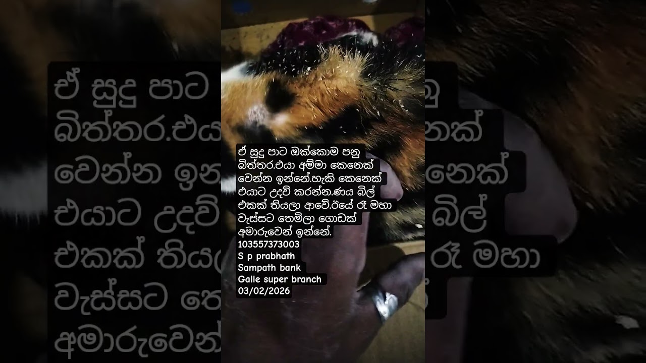 0771102846