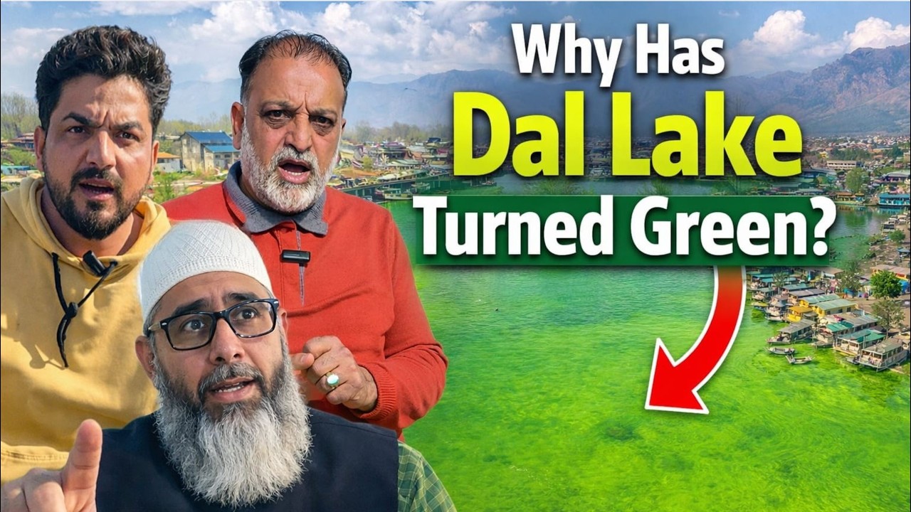 Why Has Dal Lake Turned Green?