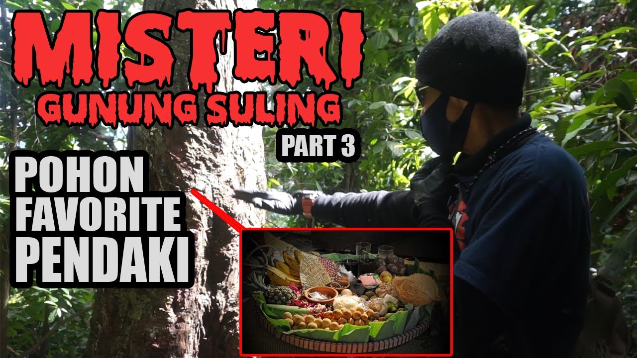 MISTERI GUNUNG SULING (PART 3) : GETAH POHON INI YANG JADI FAVORITE PENDAKI ???