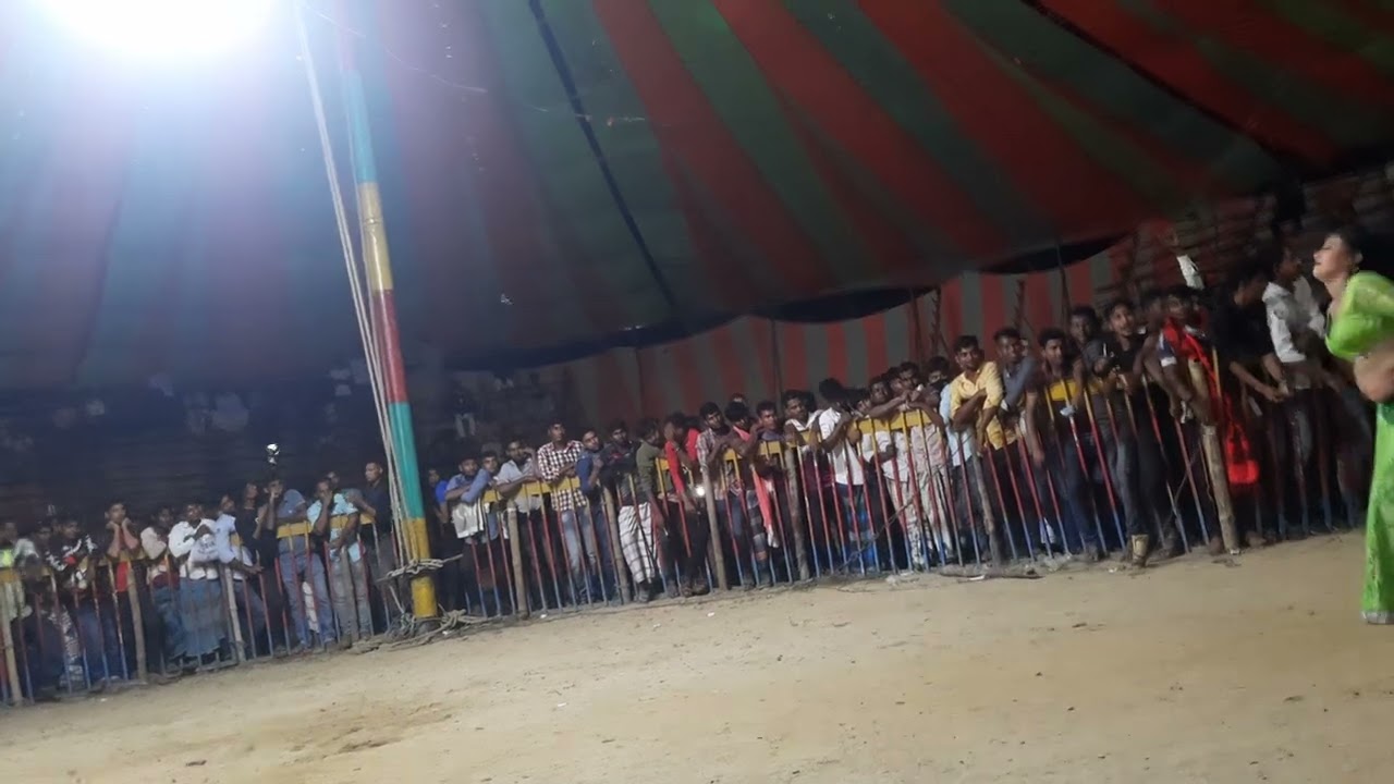 night show