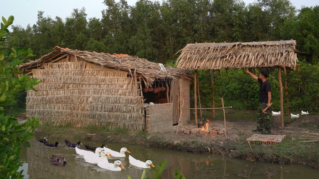Doctor left the city for the forest - turning the forest into his own farm, a life of freedom