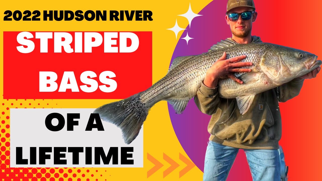 Striped Bass of a LIFETIME!! 🤯 Hudson River Striped Bass Run | 2022 Spawn Run