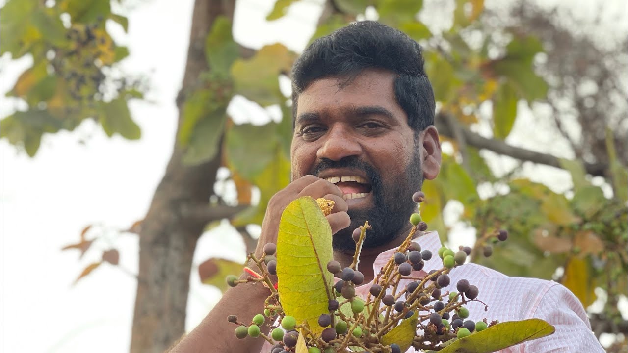 Bithirisathi ||farmTour||morripandlu||#villagefruits