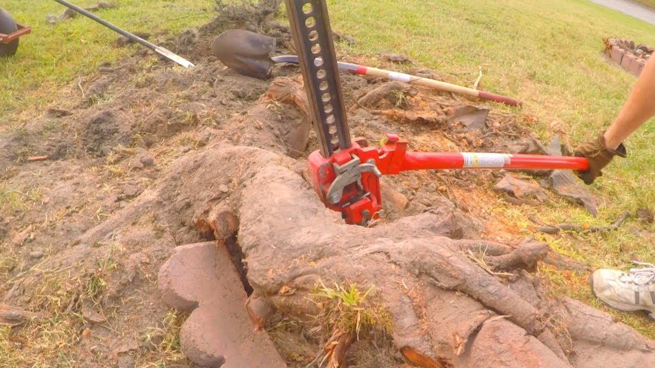 Farm Jack and Sawzall vs Huge Stump Roots