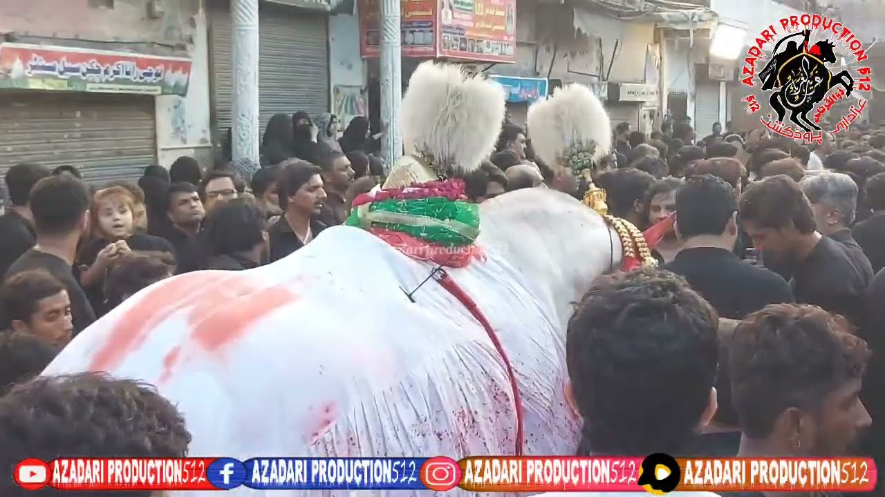 MARKAZI JALOOS YOUME ASHOOR| IMAMIAN COLONEY LAHORE | #muharram #muharram2025 #ashortaday