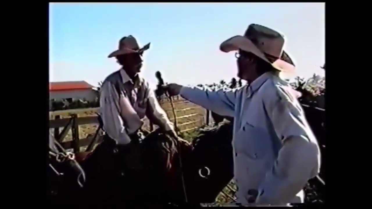 boiada no estradao tempo que nao vouta