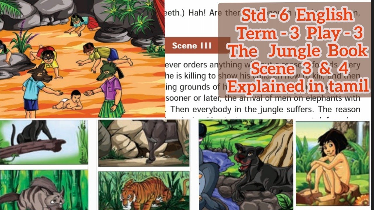 6th std English Term-3 play-3 The Jungle Book Scene -3 & 4 Explained in tamil TN Samacheer Kalvi