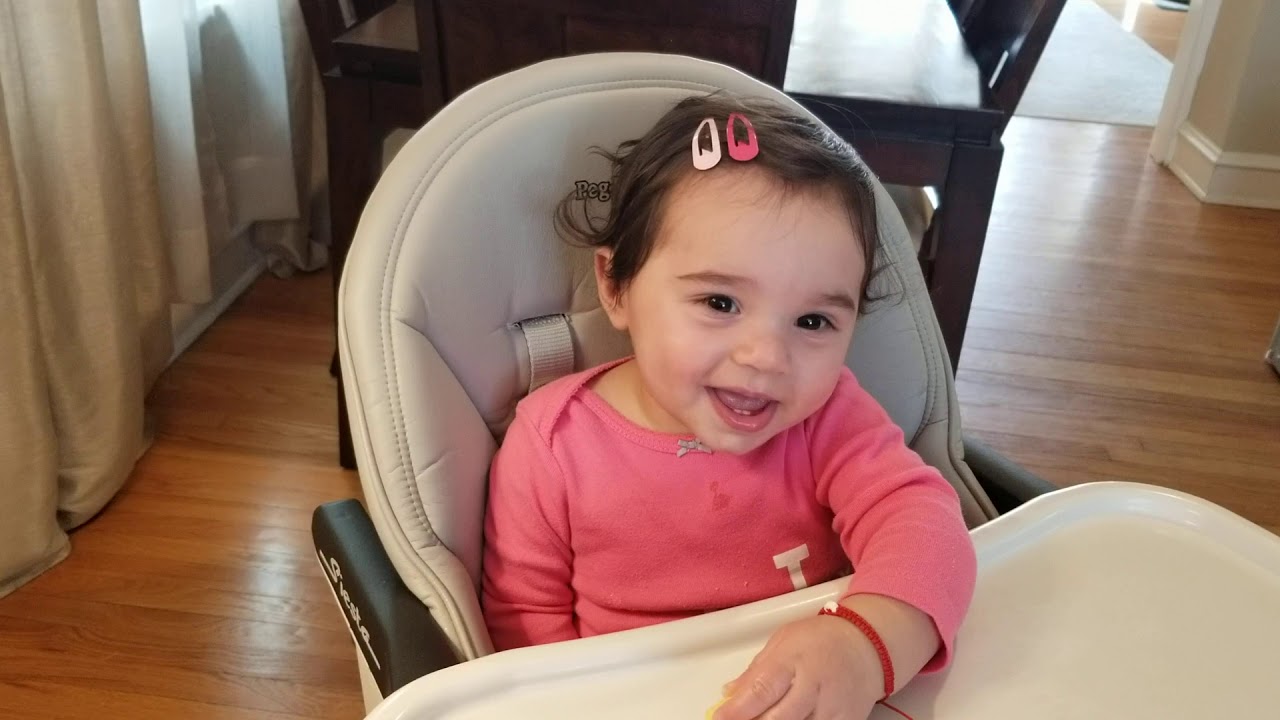 Gerber Arrowroot Biscuits for this 10 months old!