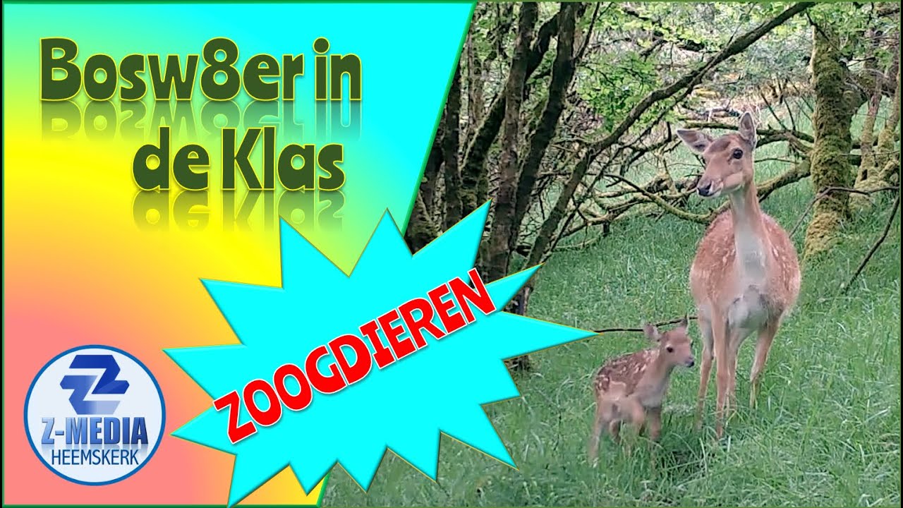 Bosw8er in de Klas: Weetjes over Zoogdieren (aflevering 24) 4k