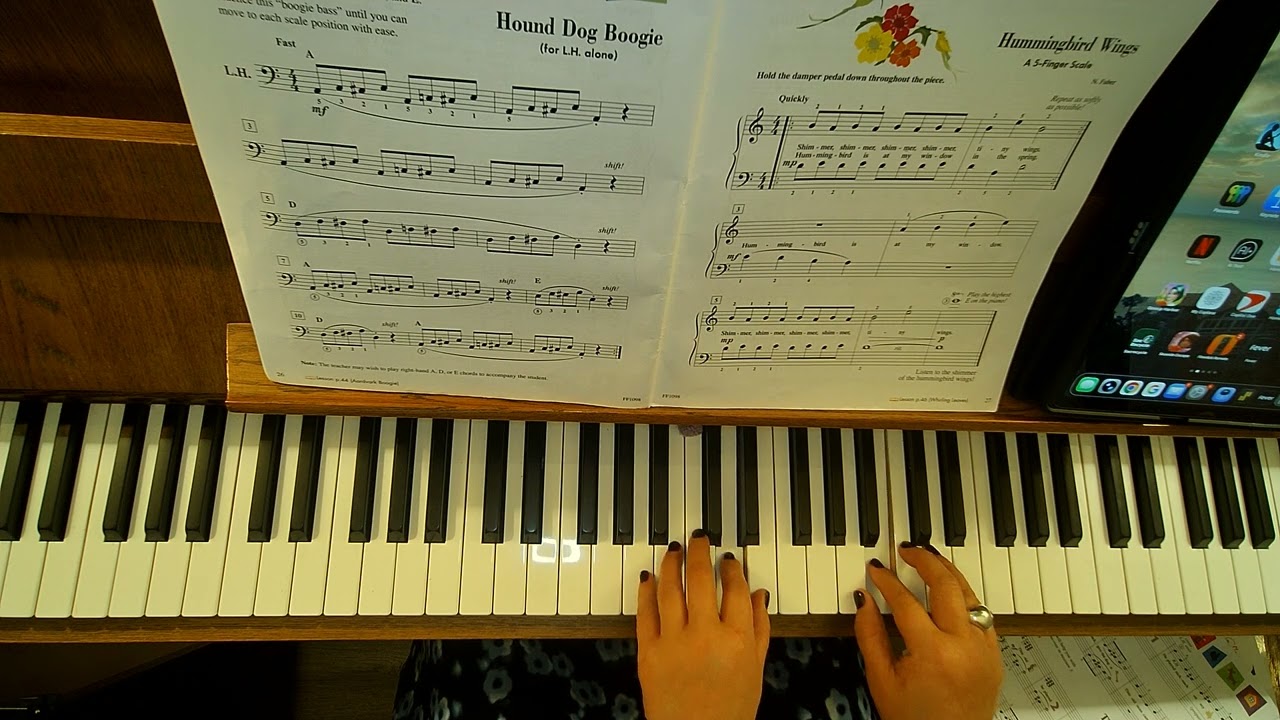 Pg. 27 Hummingbird Wings