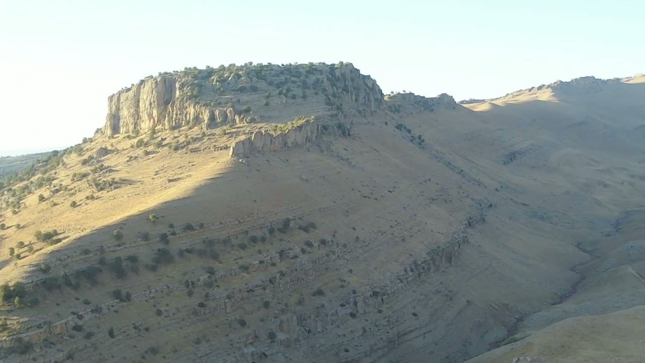 güneyçam navyana şexa.