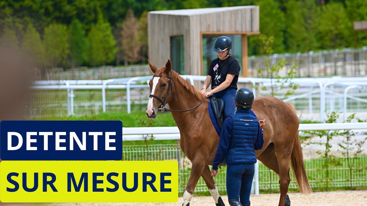 🚨COMMENT FAIRE UNE VRAIE DETENTE ?