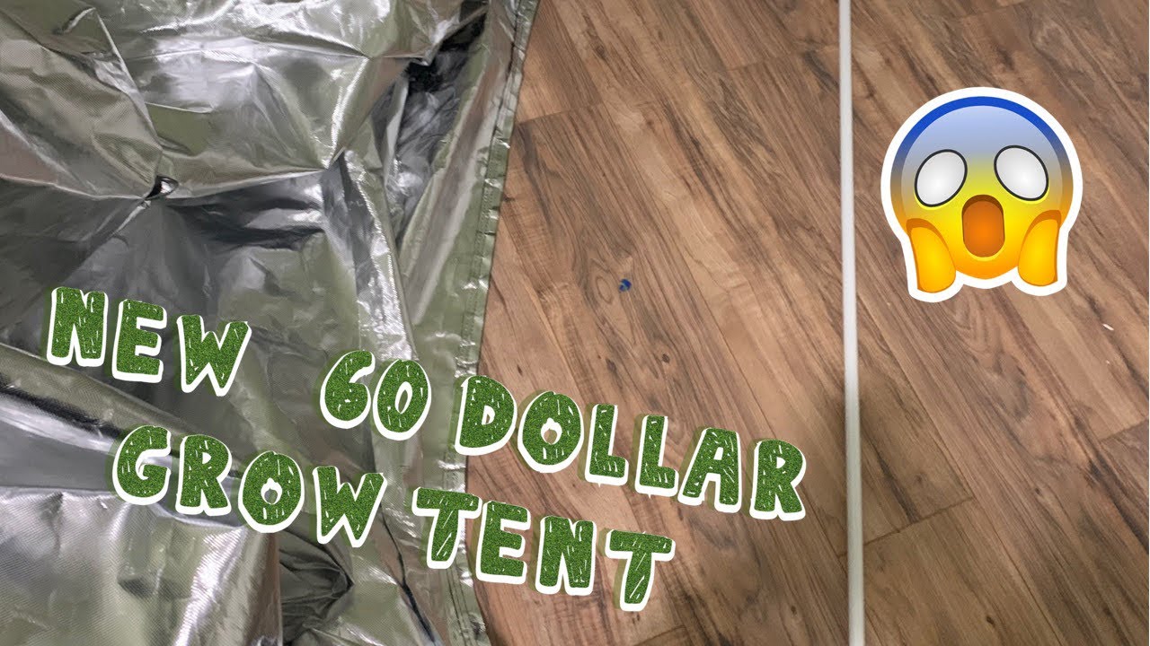 NEW $60 GROW TENT SCORE 48x24x60 |DAHGROWBRO