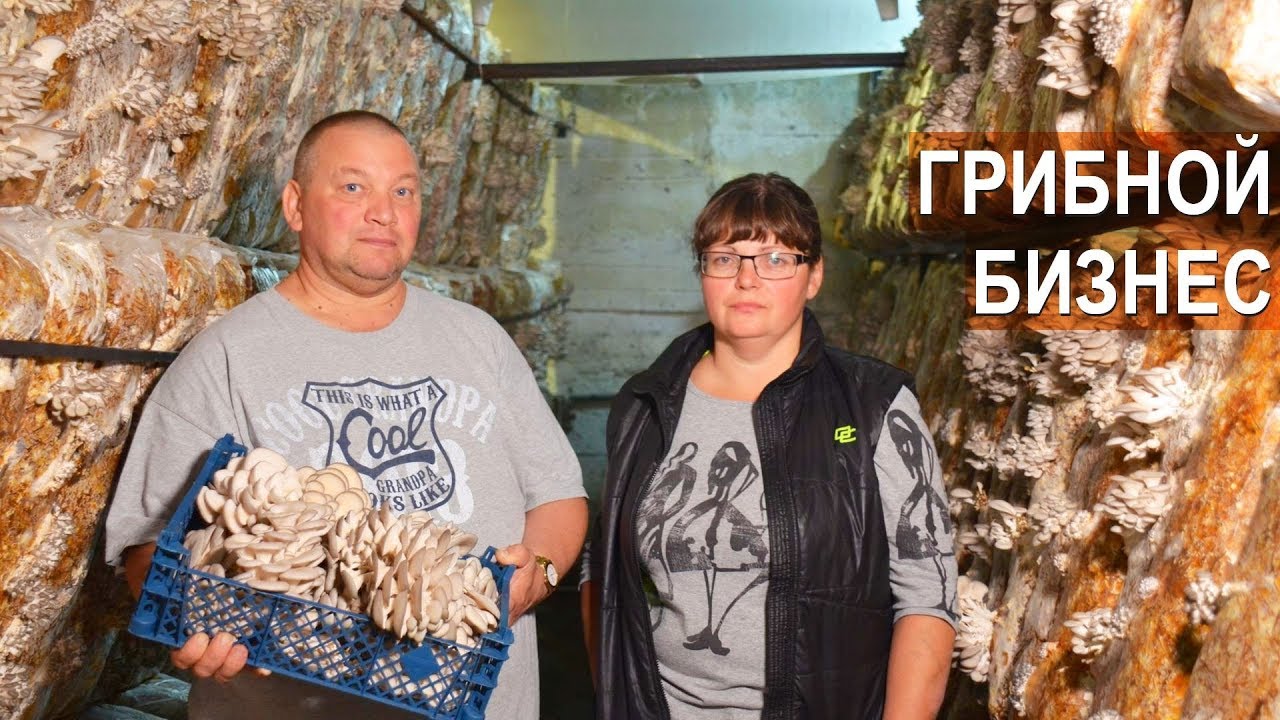 Грибной бизнес семьи Топорковых. Вешенка и другие грибы. Агрофирма 