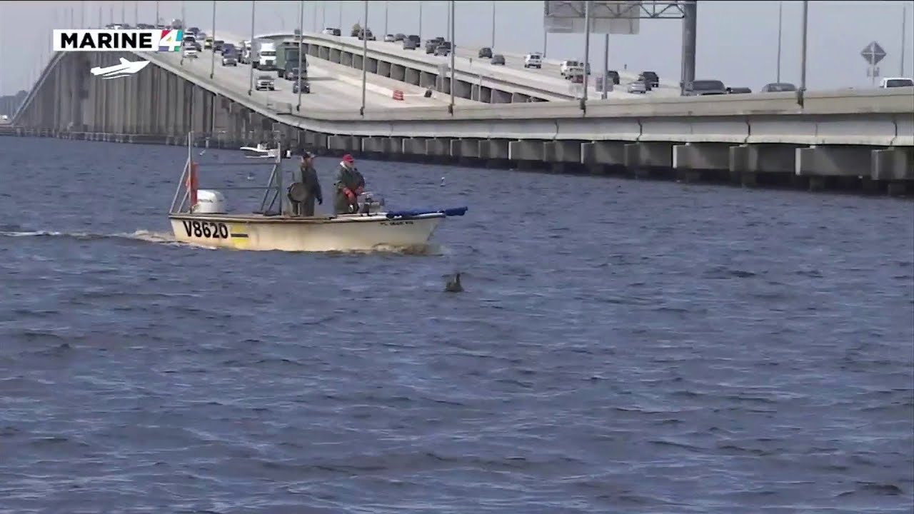 19-year-old missing after falling off fishing boat near Buckman Bridge