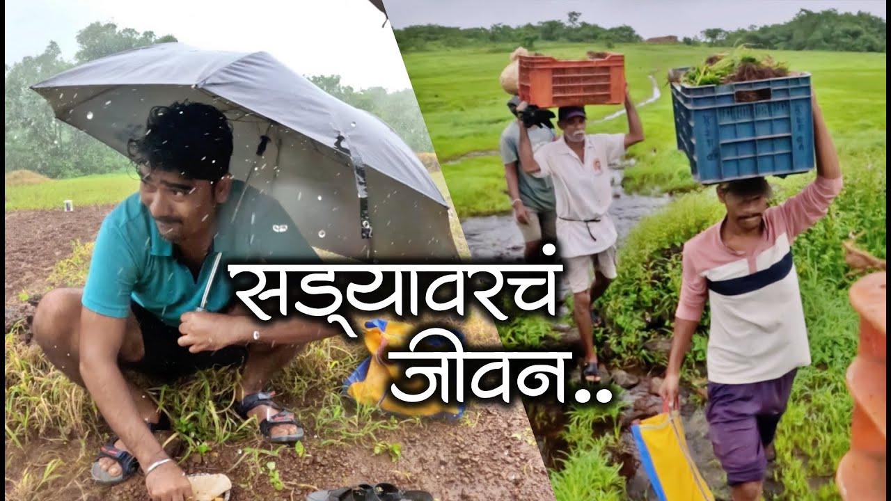 अंत्याची बायको सुगरण रोज रोज पोळी शिखरण😍😜| कोकणातील नाचणीची शेती | #कोकणी #मालवणी #शेतकरी #kokanvlog