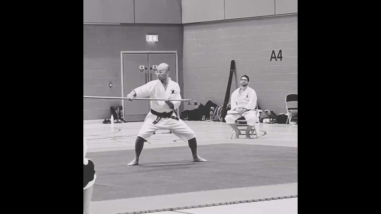 Shorinji Kempo BSKF International Taikai 224