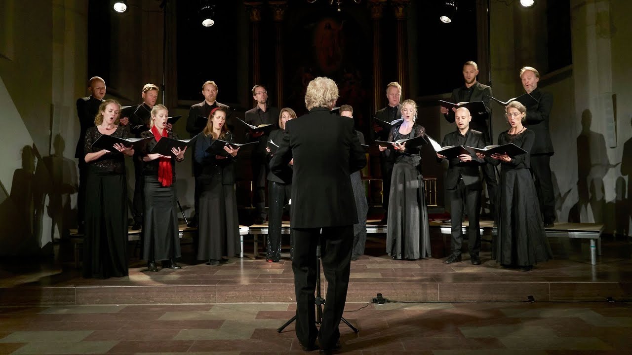 Brahms: Waldesnacht - Mogens Dahl Chamber Choir