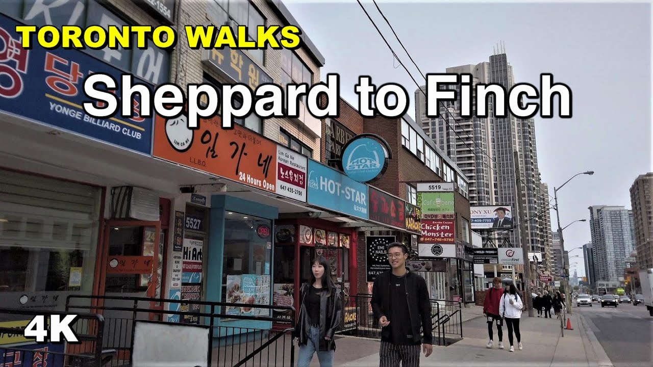 North York Toronto  - Sheppard to Finch along Yonge Street walk [4K]