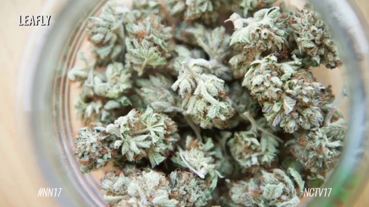 NPD Preparing for Marijuana Legalization